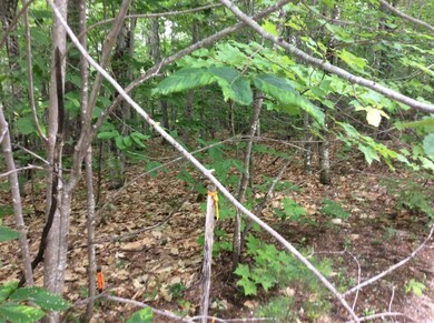 146 S Bridgton Rd, Bridgton, ME 04009 - photo 4