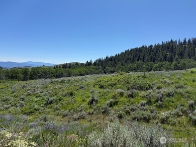 111 Tbd Ellemeham Ridge Rd, Oroville, WA 98844 - photo 2