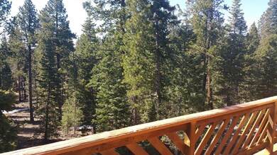 Deck View