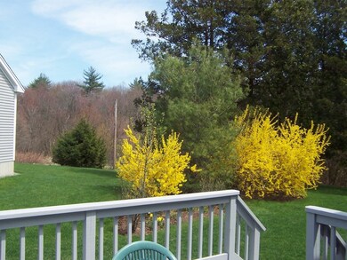 319 Stearns St unit 21, Carlisle, MA 01741 - photo 4