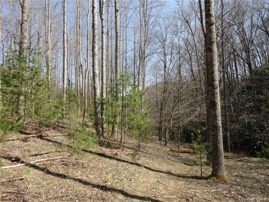 1395 Bald Mountain Rd, Burnsville, NC 28714 - photo 2