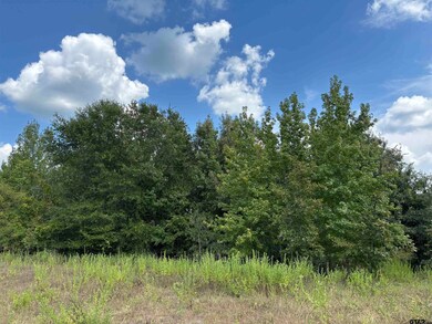 000 County Road 1902, Jacksonville, TX 75766 - photo 6