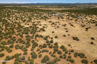 8770SupancheckRd-ShowLow-AZ-12