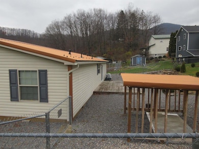 44 5th St, Hendricks, WV 26271 - photo 4