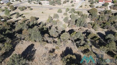 Lot 316 Eddie Ward, Silver City, NM 88061 - photo 6