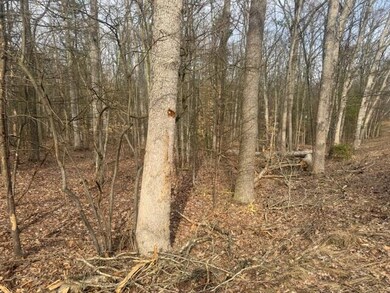 0 E Meinert Rd, Brunswick, MI 49425 - photo 7