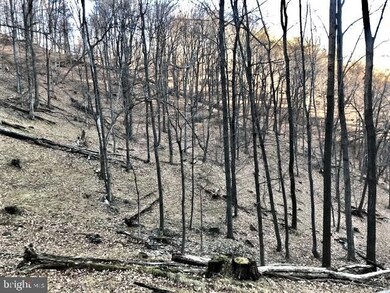 0 Roy Hyre Hollow Rd unit WVGT2000174, Petersburg, WV 26847 - photo 7