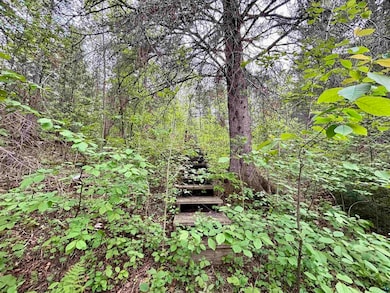 View of wooded area