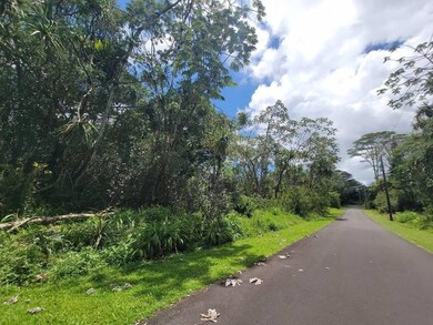 0 S Nenue St unit 725902, Pahoa, HI 96778 - photo 3