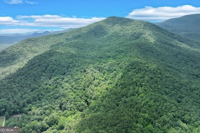 2001 Chimney Mtn Flats Trail, Clarkesville, GA 30523 - photo 6