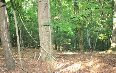 Additional View