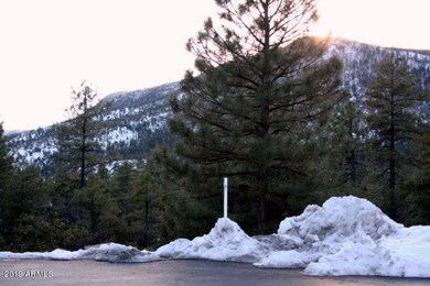 103 Sundown Ln unit 103, Pine, AZ 85544 - photo 2