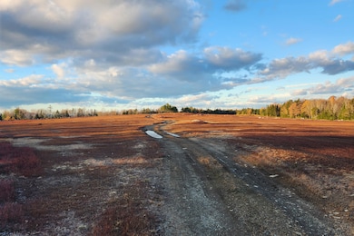 00 Dunbar, Penobscot, ME 04476 - photo 3