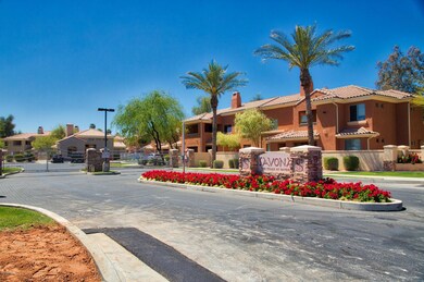 955 E Knox Rd unit 231, Chandler, AZ 85225 - photo 6