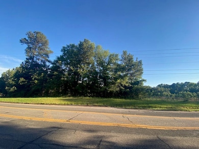 463 Meriwether Rd, Milledgeville, GA 31061 - photo 4