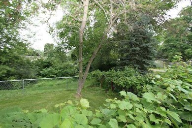 Yard/Garden.
