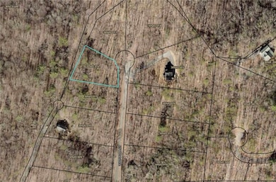 0 Walhalla Ct unit 7611949, Ellijay, GA 30540 - photo 2