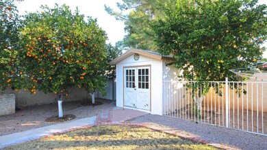 Workshop/Fenced dog run