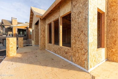 006_006_11746_n_star_gazer_-4_563_358