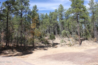 1970 S Pleasant View Dr, Show Low, AZ 85901 - photo 3