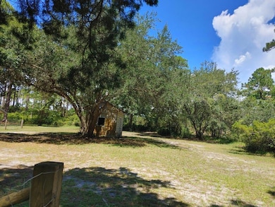 2447 Highway 98 W, Carrabelle, FL 32322 - photo 2