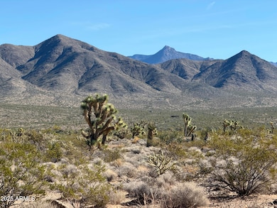 0 Bayleaf Dr, Meadview, AZ 86444 - photo 5