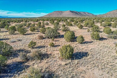 0 N Feather Mountain Rd unit PAR1061273, Paulden, AZ 86334 - photo 3