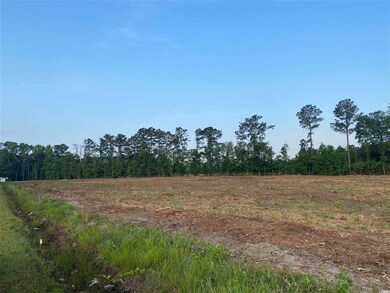 Lot 1 U S 701 Hwy unit 6190 Highway 701 S, Conway, SC 29526 - photo 3