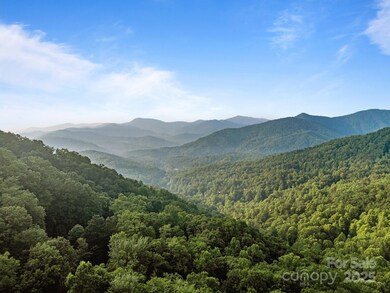 10 Turkey Trot Trail, Sylva, NC 28779 - photo 2
