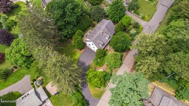 FROM ABOVE