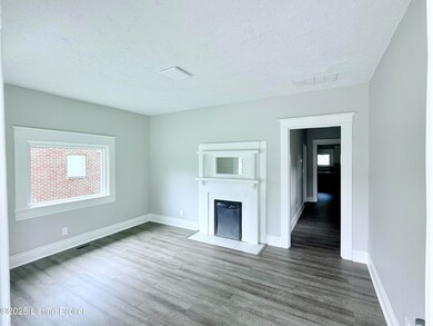 713 E Hill St, Louisville, KY 40217 - photo 5