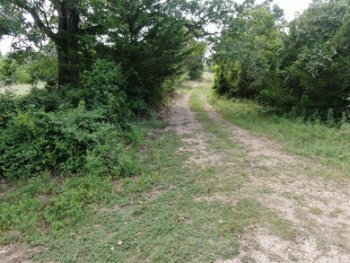 1641 Star Hill Rd, New Ulm, TX 78950 - photo 4