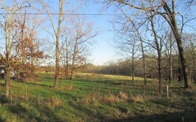 Additional View