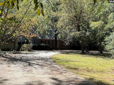 123 Hollow Ln, Leesville, SC 29070 - photo 5