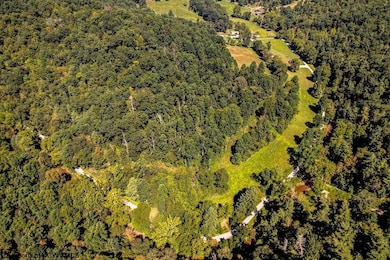 650 Sam Cavins Rd, West Union, WV 26456 - photo 7