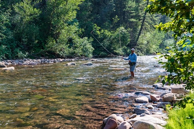 27548 Highway 145, Dolores, CO 81323 - photo 2