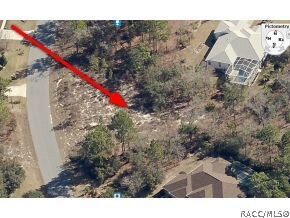 6 Primula Ct W, Homosassa, FL 34446 - photo 7