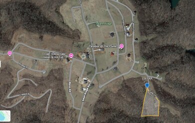 0 Turtle Ln unit RTC3042417, Hilham, TN 38568 - photo 3
