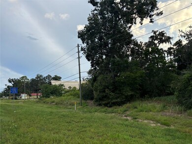 0 S Us Hwy 301 unit MFRA4632821, Belleview, FL 34420 - photo 5