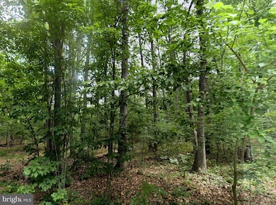 00 Level Hill Rd, Luray, VA 22835 - photo 3