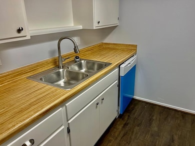 kitchen -sink, dishwasher