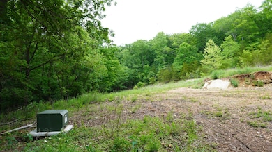 Lots 4 5 6 & Acreage Loch Dr, Kimberling City, MO 65686 - photo 3