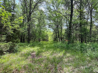 S Rd, Richards, MO 64778 - photo 2