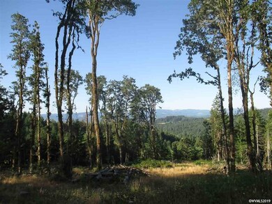 0 SW Rock Creek Rd unit 752622, Sheridan, OR 97378 - photo 6