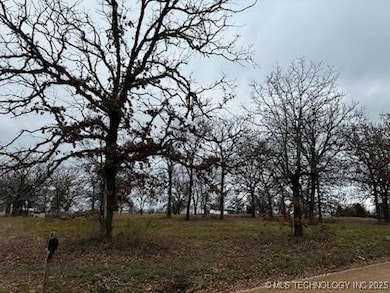 unlisted-address, Vian, OK 74962 - photo 3