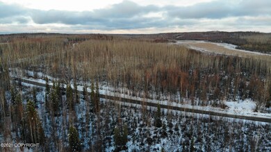 3872 Pond Lily Ln, Big Lake, AK 99652 - photo 4