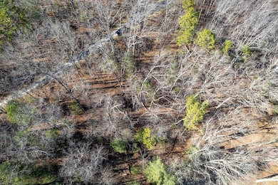 00 Jarrett Hills Rd, Dillsboro, NC 28779 - photo 3