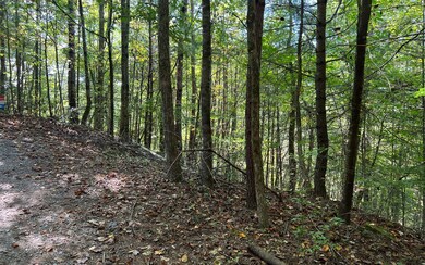 Additional View