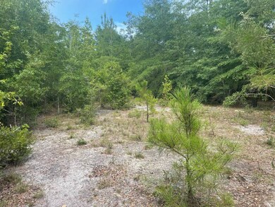 TBD Rivers Hill Rd unit B1, Varnville, SC 29944 - photo 3