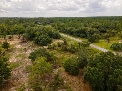 0 SW Lobelia Ct unit O6044520, Dunnellon, FL 34431 - photo 4